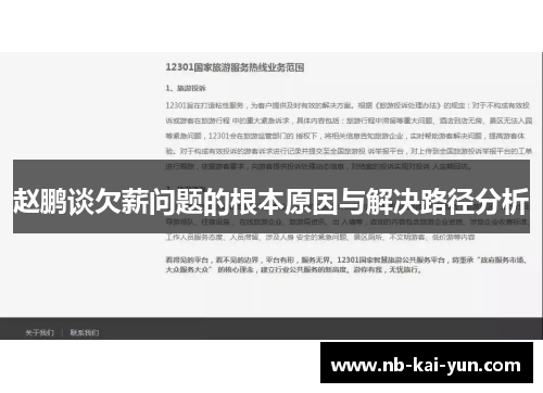 赵鹏谈欠薪问题的根本原因与解决路径分析